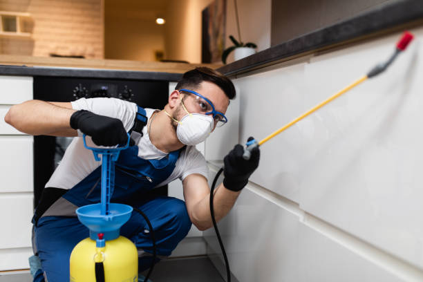 Best Pest Removal Services  in Louisiana, MO