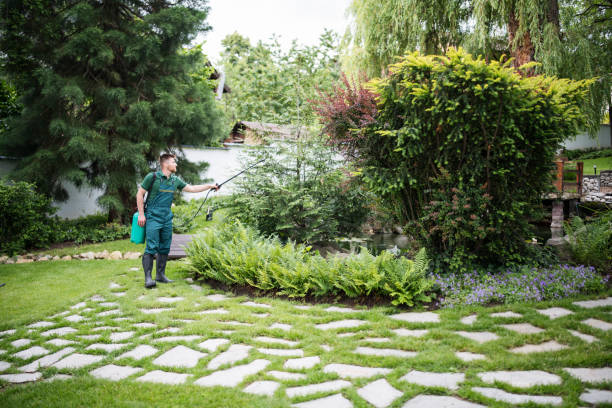 Best Best Pest Control Companies  in Louisiana, MO