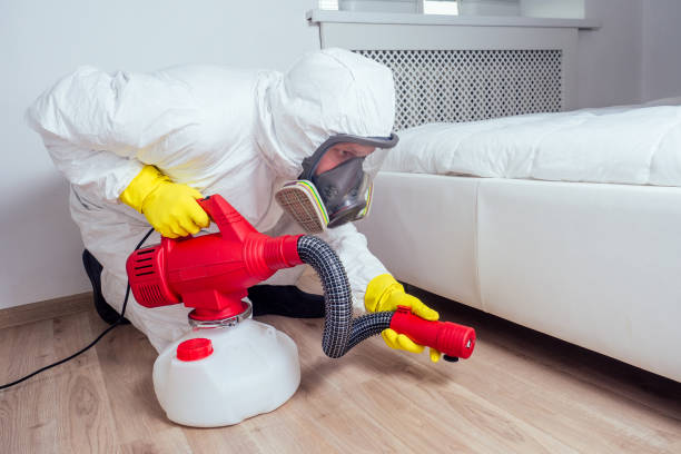 Best Cockroach Control Services  in Louisiana, MO