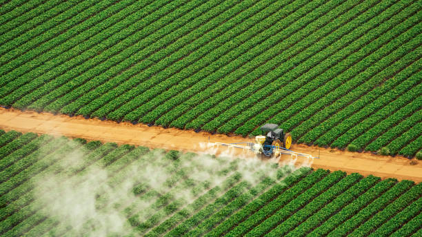 Best Pest Removal Services  in Louisiana, MO
