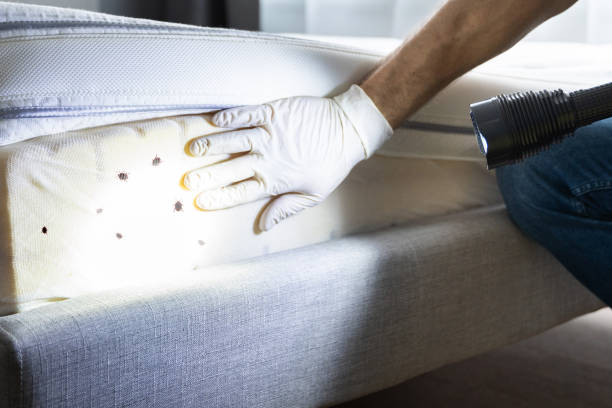 Pest Control Cost in Louisiana, MO