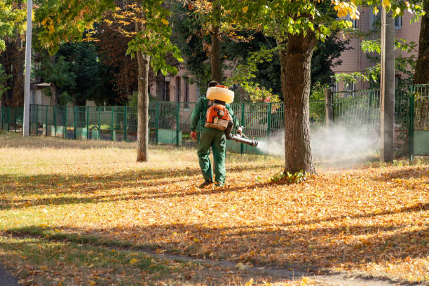 Best Mosquito Control Services  in Louisiana, MO