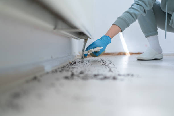 Best Emergency Pest Control  in Louisiana, MO